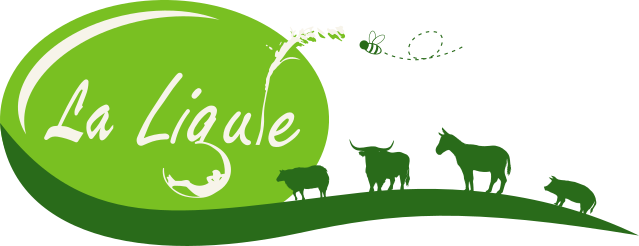 La Ligule